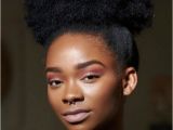 4c Natural Hairstyles Pinterest Protective Hairstyle for Back Women Ideas Hair