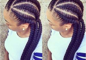 6 Braid Hairstyle 25 Afro Hairstyles with Braids