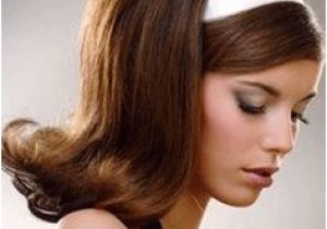 60 S Hairstyles Half Up 94 Best 1960 S Hairstyles Images