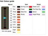 Acnl Hairstyle Colours Acnl Hair Color Guide