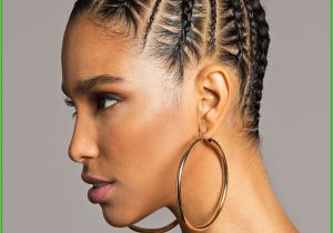 African American Braided Hairstyles Pictures 8 Awesome Braid Hairstyles with Natural Hair
