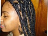 African American Fishtail Braids Hairstyles 21 African American Fishtail Braids Hairstyles 2017