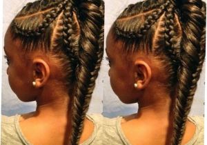 African American Fishtail Braids Hairstyles 21 African American Fishtail Braids Hairstyles 2017