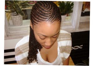 African American Fishtail Braids Hairstyles Latest African American Braids Hairstyles 2016 Ellecrafts