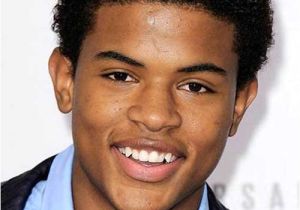 African American Male Curly Hairstyles Haircuts for Black Men with Curly Hair
