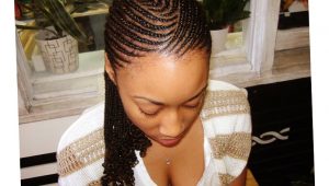 African American Teenage Braided Hairstyles African American Braided Hair Styles 2016 Ellecrafts