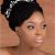 African Braided Hairstyles for Weddings 470 Best Images About African American Wedding Hair On