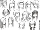 Anime Hairstyles Braids How to Draw Female Anime Hairstyles Sisters