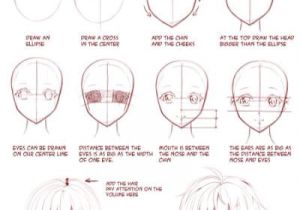 Anime Hairstyles Female Step by Step Female Face References