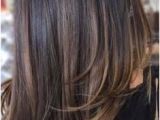 Asian Hair Color 2019 110 Best Balayage On Black asian Hair Images In 2019