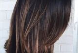 Asian Hair Color 2019 Balayage for Dark Hair Brown Highlights for Black Hair asian