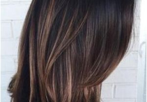 Asian Hair Color 2019 Balayage for Dark Hair Brown Highlights for Black Hair asian