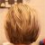 Back View Of A Bob Haircut 17 Medium Length Bob Haircuts Short Hair for Women and