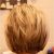 Back View Of A Line Bob Haircut Short Hair Trends for 2014 20 Chic Short Cuts You Should