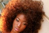 Big Curly Black Hairstyles 20 Glorious Big and Curly Natural Hairstyles