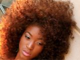 Big Curly Black Hairstyles 20 Glorious Big and Curly Natural Hairstyles