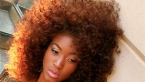 Big Curly Black Hairstyles 20 Glorious Big and Curly Natural Hairstyles