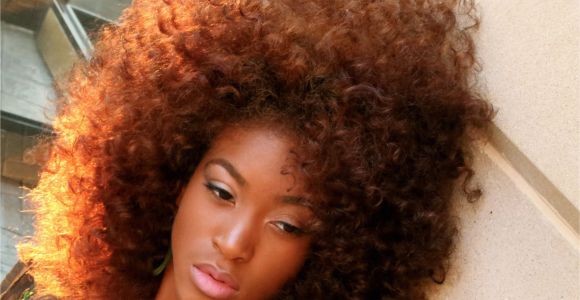 Big Curly Black Hairstyles 20 Glorious Big and Curly Natural Hairstyles
