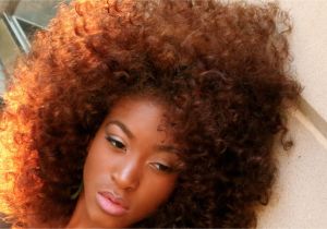 Big Natural Curly Hairstyles 20 Glorious Big and Curly Natural Hairstyles
