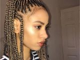 Black Braid Hairstyles 2012 Braided Hairstyles for African American Women 2018 Braid