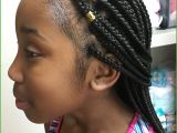 Black French Braid Hairstyles Pictures 8 Cool Braid Hairstyles for Black Hair