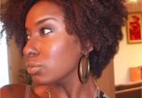 Black Girl Natural Hairstyles with Short Hair Short Natural Hairstyles for Black Women 2013 Elegant Hairstyles for
