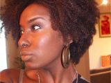 Black Girl Natural Hairstyles with Short Hair Short Natural Hairstyles for Black Women 2013 Elegant Hairstyles for