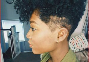 Black Guy Curly Hairstyles New Short Hairdos for Curly Hair