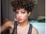 Black Hairstyles 1997 1997 Best Natural Hair Styles at their Best Images On Pinterest