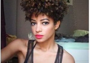 Black Hairstyles 1997 1997 Best Natural Hair Styles at their Best Images On Pinterest