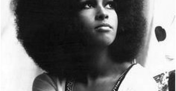 Black Hairstyles 70s 112 Best 70 S Big Hair & Other 70 S Styles Images