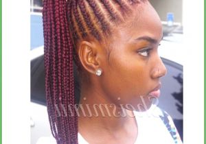 Black Hairstyles Braid Extensions Cool Little Black Girl Hairstyles Braids