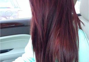 Black Hairstyles with Red Highlights Gorgeous Black Purple Hairstyles