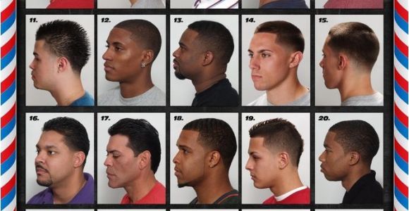 Black Men Haircut Styles Chart the Barber Hairstyle Guide Poster for Black Men