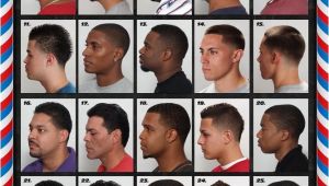 Black Men Haircuts Styles Chart the Barber Hairstyle Guide Poster for Black Men