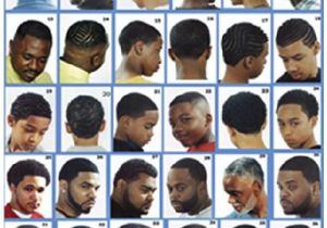 Black Mens Hairstyles Chart Barbershop Beard Chart