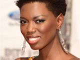 Black Natural Hairstyles 2012 108 Best Images About Twa On Pinterest