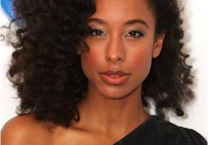 Black Natural Hairstyles 2012 2012 Summer Hairstyles and Hair Trends for Black Women