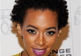 Black Natural Hairstyles 2012 Fashion Review Short Haircut for Black Women 2012