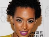 Black Natural Hairstyles 2012 Fashion Review Short Haircut for Black Women 2012