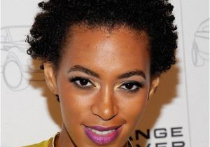 Black Natural Hairstyles 2012 Fashion Review Short Haircut for Black Women 2012