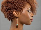 Black Short Curly Hairstyles 2015 Short Curly Haircuts for Black Women 2015