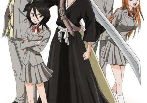 Bleach New Hairstyles Anime Bleach Episodes 1 109 Available for Instant Watch