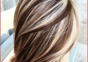 Blonde Hairstyles Colors Highlights Dark Short Hair with Highlights Special Brown Hair Color with