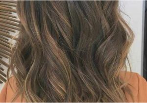 Blonde Hairstyles Colors Highlights Medium Length Hairstyles with Highlights Fresh Special Brown Hair