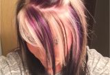 Blonde Hairstyles with Purple Highlights Purple Blonde and Black On top with All Black Underneath