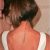 Bob Haircut From Back 25 Back View Of Bob Haircuts