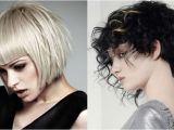 Bob Haircut Stories Long to Short Bob Haircut Story Haircuts Models Ideas