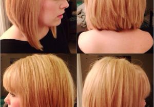 Bob Hairstyles Back View 2013 Bob Cut is A Picture Collection Of Pictures Shows the Back