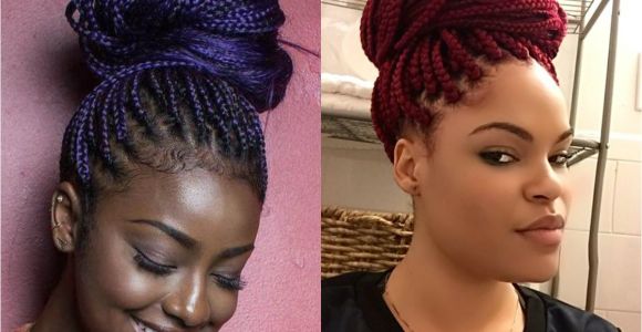 Box Braid Hairstyles Pictures Box Braids Bun Hairstyles You Will Swear with